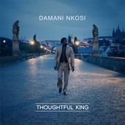 Damani Nkosi - Thoughtful King