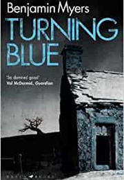 Turning Blue (Benjamin Myers)