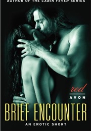 Brief Encounters (Alice Gaines)