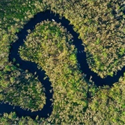 Noosa Everglades