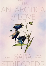 The Antarctica of Love (Sara Stridsberg)