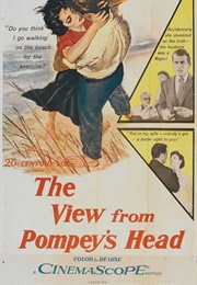 The View From Pompey&#39;s Head (1955)