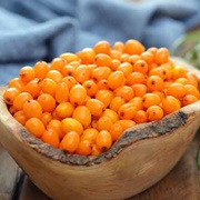 Sea Buckthorn (Hippophae Rhamnoides)