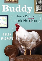 Buddy: How a Rooster Made Me a Family Man (Brian McGrory)