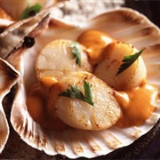 Stewed Scallops