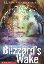 Blizzard&#39;s Wake (Phyllis Naylor)