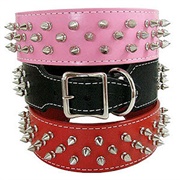 Spiked Collar