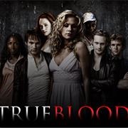 &quot;True Blood&quot; (2008-2014)