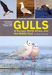 Gulls of Europe, North Africa and the Middle East (Various)