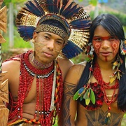 South American Natives