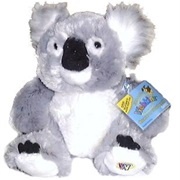 Lil Kinz Koala