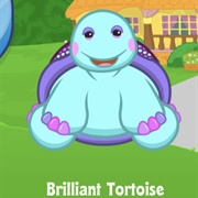 Brilliant Tortoise