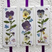 Press Flowers to Make Bookmarks