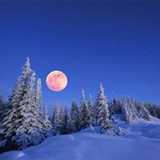 Second Moon of Winter