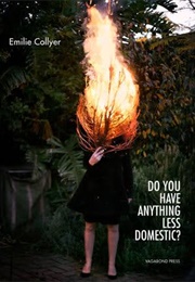 Do You Have Anything Less Domestic (Emilie Collyer)