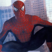 The Spider Man