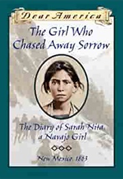 The Girl Who Chased Away Sorrow: The Diary of Sarah Nita (Ann Turner)