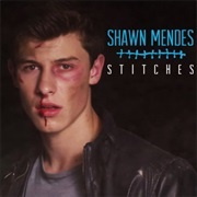 Shawn Mendes, &quot;Stitches&quot;