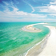 Gulf of Mexico (Alabama, Florida Coast)