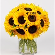 Sunflower Bouquet