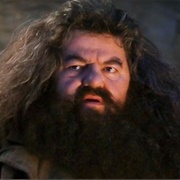 Rubeus Hagrid (Harry Potter)