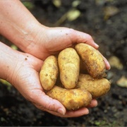 Almond Potatoes