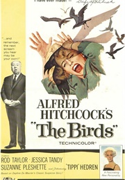 The Birds (1963)