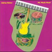 Adrian Belew - Mr. Music Head