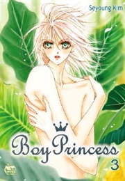 Boy Princess, Volume 3 (Seyoung Kim)