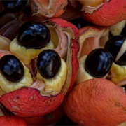 Ackee Fruit