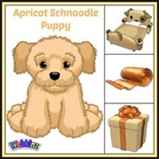 Apricot Schnoodle Puppy