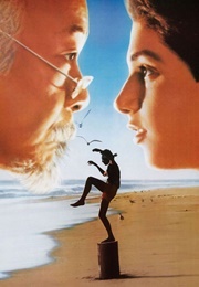 Karate Kid (Series) &amp; Next Karate Kid (1984) - (2010)