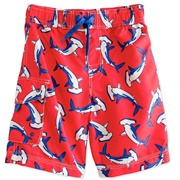 Swimming Trunks