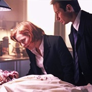 &#39;The X-Files&#39;