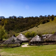 Butser Ancient Farm