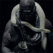 Crocodile Python - Rick Ross