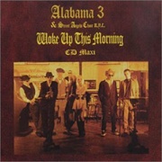 Woke Up This Morning - Alabama 3