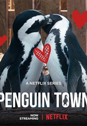 Penguin Town (2021)