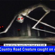 Country Road Creature