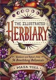 Illustrated Herbiary (Maya Toll)