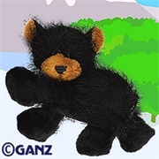 lil kinz black bear