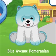 Blue Avenue Pomeranian