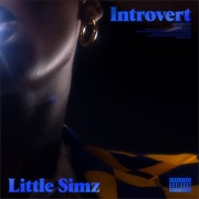 Little Simz – Introvert