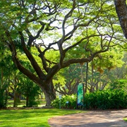 George Brown Botanic Gardens, Darwin, Australia