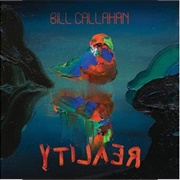 Bill Callahan - Reality