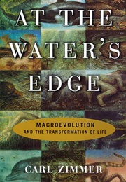 At the Waters&#39; Edge: MacRoevolution and the Transformation of Life (Carl Zimmer)