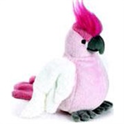 Pink Cockatoo