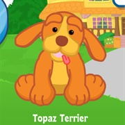 Topaz Terrier