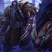 Feral Bear Druid