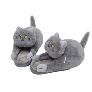 Cat Shoes